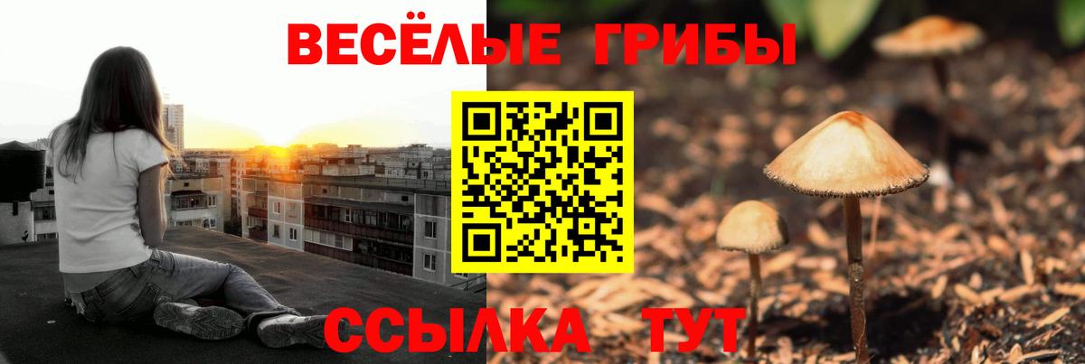 Псилоцибиновые грибы Magic Shrooms Элиста